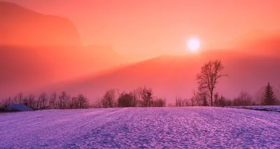 Наступает зимнее солнцестояние. Скоро световой день начнет увеличиваться |  Українські Новини