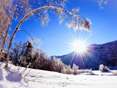 21 декабря 2021 — День зимнего солнцестояния | Пикабу
