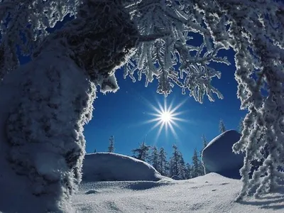Сила зимнего солнцестояния. Открой путь к мечте! | Дняпровец. Речица online