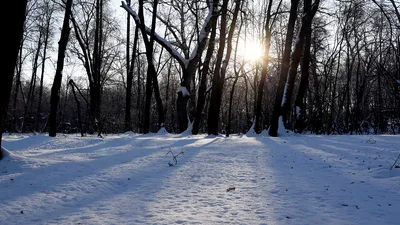 Что такое зимнее солнцестояние и когда оно наступит в 2023 году |  18.12.2023 | Барнаул - БезФормата