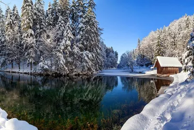 Зимние эмоции в фотографиях: Картинки природы зимой | Зимний красивые  природы зимой Фото №795436 скачать