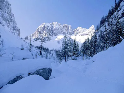 Рисунок мороза: Фотографии зимней природы в HD | Красивый зимний пейзаж  Фото №1384275 скачать