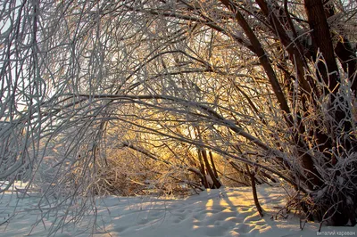 Зимний пейзаж,природа красивая начала…» — создано в Шедевруме