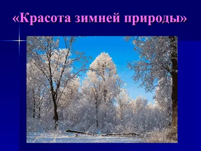 Номинация \"Красота зимней природы\", ГБОУ Школа № 1531, Москва