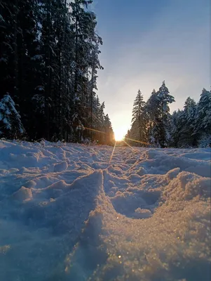 Красота зимней природы и леса) — ИЖ Москвич 412, 1,5 л, 1980 года |  путешествие | DRIVE2