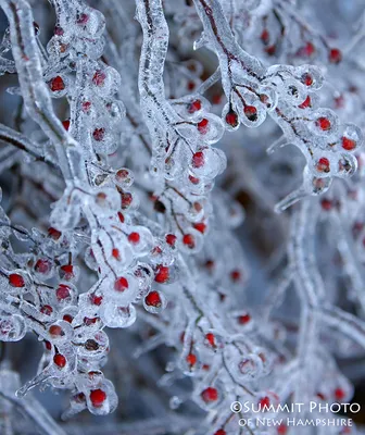 Фотография Красота зимней природы №42813 - «Зимняя сказка» (03.02.2024 -  04:13)