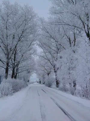 Зимняя дорога :: vlad. alferow – Социальная сеть ФотоКто