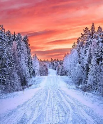 Зимняя дорога (134 фото) - 134 фото