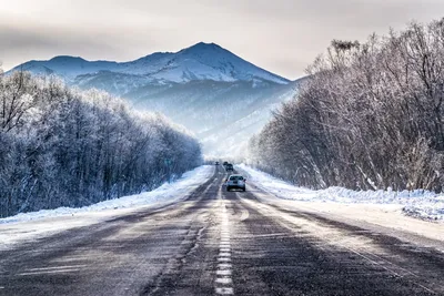 Фотообои Зимняя дорога на заказ любой размер, код:549 | ЭкоПринт