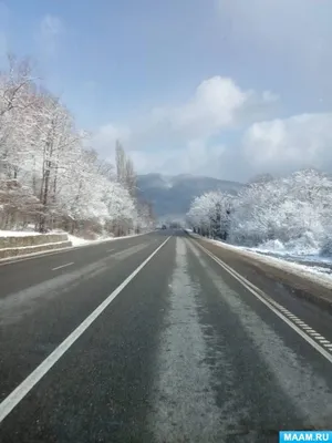 Зимняя дорога в тайге