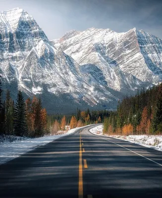 Радио ИСКАТЕЛЬ on Instagram: “Зимняя дорога в горы. Снимок из канадского  штата Альберт… | Туристическая фотография, Советы по фотосъемке пейзажа,  Живописные пейзажи