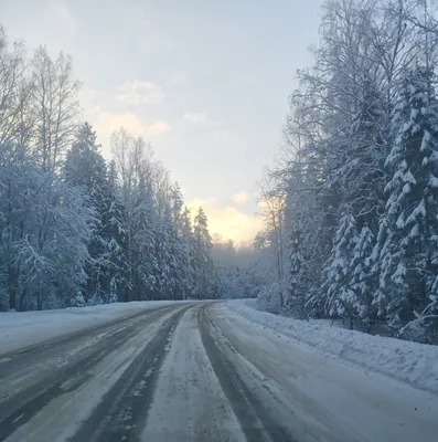 Зимняя дорога | Instagram