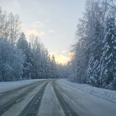 Зимняя дорога