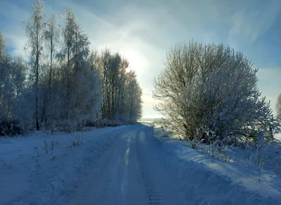 Рисунок \"Зимняя дорога домой\", автор Старостина Варвара Егоровна