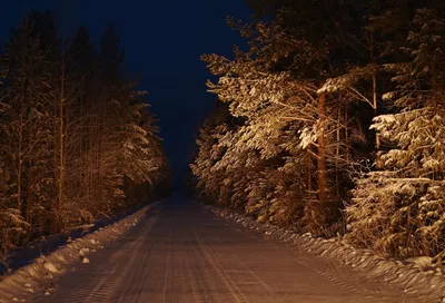 Стихотворение «Зимняя дорога», поэт Гордый Волк