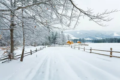 Зимняя дорога. Photographer alexdersu