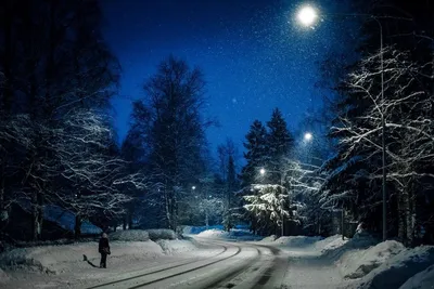 Обои зимняя ночь, зима, ночь, природа, атмосфера для iPhone 6S+/7+/8+  бесплатно, заставка 1080x1920 - скачать картинки и фото