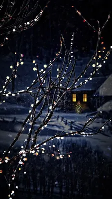 Зимняя ночь - Картинка на телефон / Обои на рабочий стол №1367818