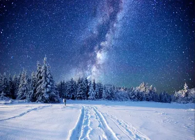 Фотообои Басов С. \"Зимняя ночь\" в жанре Пейзаж с доставкой по России