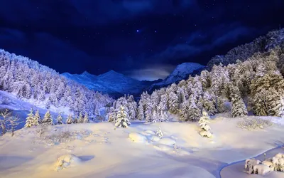 Зимняя ночь в горах | Пейзажи, Живописные пейзажи, Зимние сцены