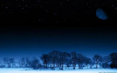Скачать обои Зимняя ночь в парке на рабочий стол из раздела картинок Зима