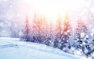 Обои на рабочий стол Зимняя природа: лес, покрытый снегом, и яркое солнце в  небе, обои для рабочего стола, скачать обои, обои бесплатно