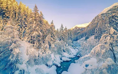 Зимняя природа | Природа, Пейзажи, Обои