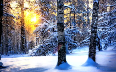 Зимняя природа | Блог Life-List.ru Путешествия отчеты сплавы лыжные походы  красивые фотографии Дед Виталя