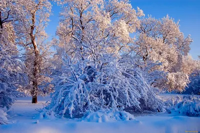 Завораживающие картины зимы на рабочий стол. Обсуждение на LiveInternet -  Российский Сервис Онлайн-Дневников