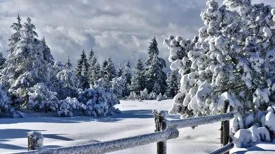 Природа, зима - Красивые фото обои для рабочего стола компьютера #27