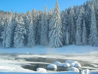 Лес горная природа снег закат зимняя природа обои скачать - обои для  рабочего стола