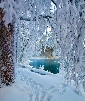 Картинки зима на заставку телефона (100 фото) | Зимняя фотография, Зимние  сцены, Обои для телефона