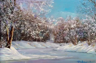 Зимняя елка | Зимняя фотография, Природа, Фоновые изображения