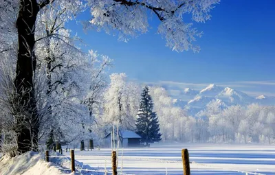 Зимняя сказка, зима, природа, синее х - Обои для рабочего стола