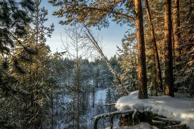 Зимняя природа | Природа, Пейзажи, Обои