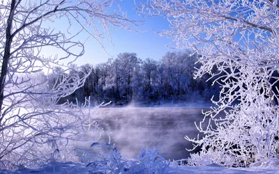 Природа зима - 64 фото