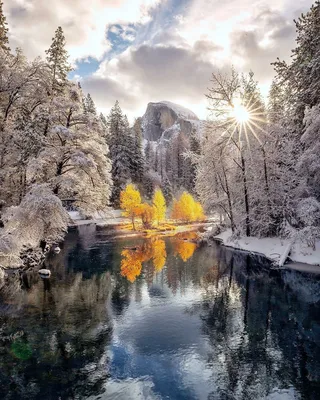 Картинки зима, снег, деревья в снегу, красиво, закат, природа, зимняя пора,  морозец - обои 1280x1024, картинка №157428