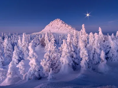 Зимняя сказка | Рождественские обои, Картинки снега, Рождественский фон