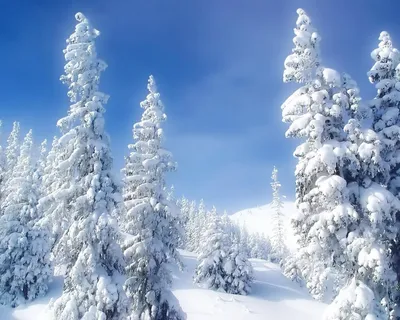 Зима - Картинка на телефон / Обои на рабочий стол №1365621