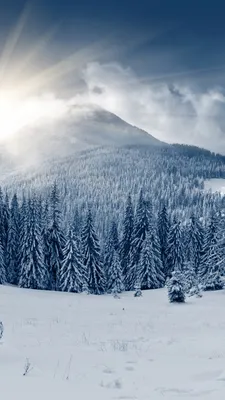 Winter Landscapes Wallpaper APK для Android — Скачать