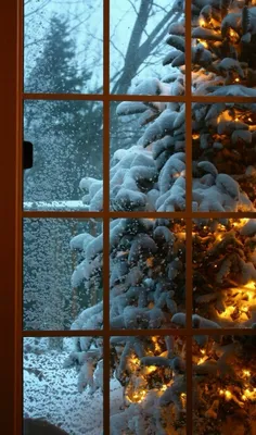 Зима, снег, ёлка, wall, заставки, обои, фон, winter, snow | Картинки снега,  Зимние сцены, Рождественские пейзажи