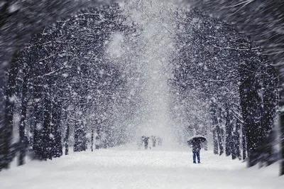Падают снежинки, как яркий звездопад…» — создано в Шедевруме