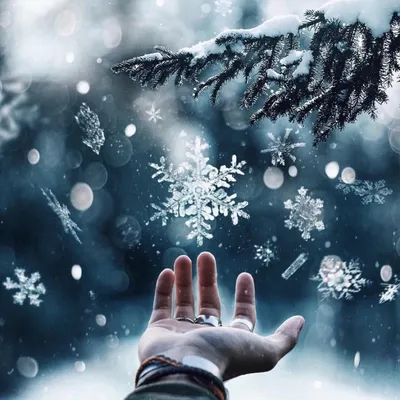 Зима, падают снежинки, по пушистому …» — создано в Шедевруме