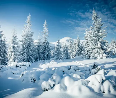 Зимний пейзаж в горах Обои для рабочего стола 1280x1024 | Winter landscape,  Winter scenes, Winter scenery