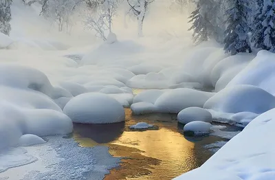 Обои на рабочий стол Зимний пейзаж с заснеженным домиком, фотограф Oleg_O,  обои для рабочего стола, скачать обои, обои бесплатно