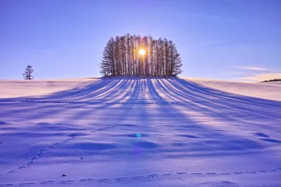 Зимний пейзаж (фото)