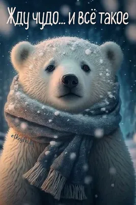 Надпись зимы здравствуйте руки рисуя Compositio зимнего отдыха Стоковое  Фото - изображение насчитывающей январь, весело: 129922736