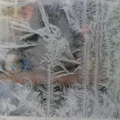 Зимнее волшебство на окне: узоры, созданные природой. — Иван Машковцев на  TenChat.ru