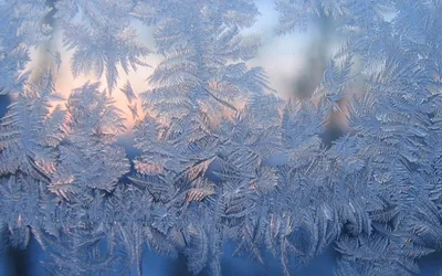Зимние узоры на стекле: откуда и почему на оконных стеклах зимой появляются  узоры | Изелин | Дзен
