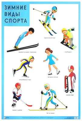 Плакат Зимние Виды Спорта - купить подготовки к школе в интернет-магазинах,  цены на Мегамаркет |
